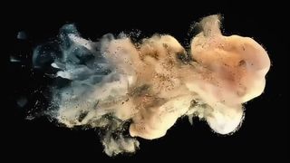 e-STUDIO için Toshiba Developer Powder D5070 500g